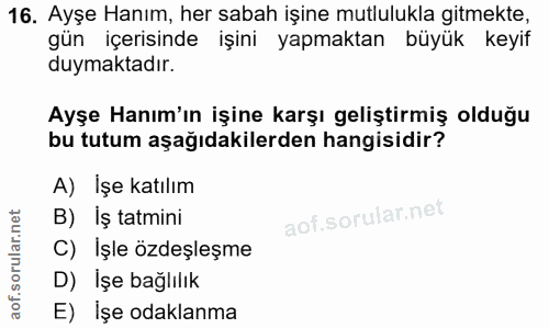 16. soru: Ayşe Hanım, her sabah işine mutlulukla gitmekte, gün içerisinde işini yapmaktan büyük keyif duymaktadır. Ayşe Hanım'ı…