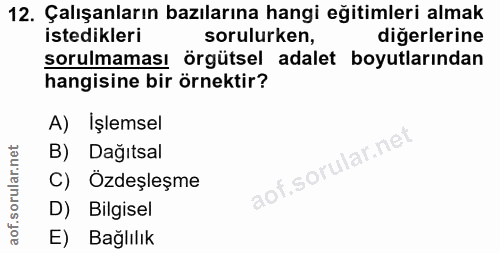 12. soru: Çalışanların bazılarına hangi eğitimleri almak istedikleri sorulurken, diğerlerine sorulmaması örgütsel adalet boyutl…