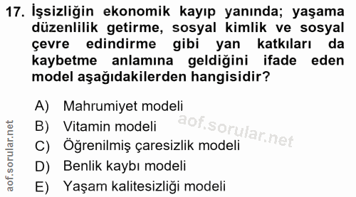 17. soru: İşsizliğin ekonomik kayıp yanında; yaşama düzenlilik getirme, sosyal kimlik ve sosyal çevre edindirme gibi yan katkıl…