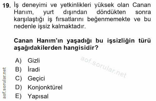 19. soru: Iş deneyimi ve yetkinlikleri yüksek olan Canan Hanım, yurt dışından döndükten sonra karşılaştığı iş fırsatlarını beğe…