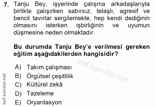 7. soru: Tanju Bey, işyerinde çalışma arkadaşlarıyla birlikte çalışırken sabırsız, telaşlı, agresif ve bencil tavırlar sergile…
