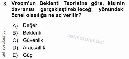 3. soru: Vroom'un Beklenti Teorisine göre, kişinin davranışı gerçekleştirebileceği yönündeki öznel olasılığa ne ad verilir? A)…