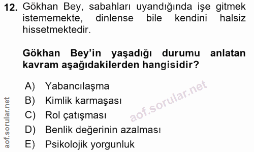 12. soru: Gökhan Bey, sabahları uyandığında işe gitmek istememekte, dinlense bile kendini halsiz hissetmektedir. Gökhan Bey'in…