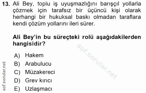 13. soru: Ali Bey, toplu iş uyuşmazlığını barışçıl yollarla çözmek içın tarafsız bir üçüncü kişi olarak herhangi bir hukuksal b…