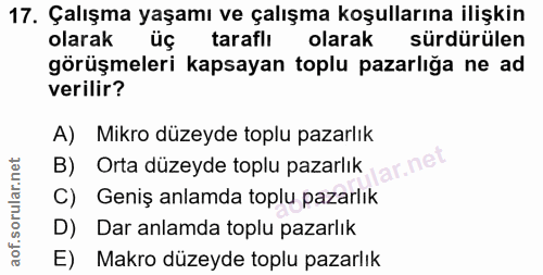 17. soru: Çalışma yaşamı ve çalışma koşullarına ilişkin olarak üç taraflı olarak sürdürülen görüşmeleri kapsayan toplu pazarlığ…