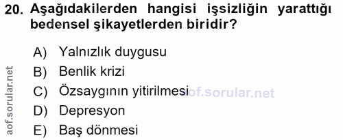 20. soru: Aşağıdakilerden hangisi işsizliğin yarattığı bedensel şikayetlerden biridir? A) Yalnızlık duygusu B) Benlik krizi C)…