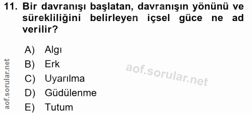 11. soru: Bir davranışı başlatan, davranışın yönünü ve sürekliliğini belirleyen içsel güce ne ad verilir? A) Algı B) Erk C) Uya…