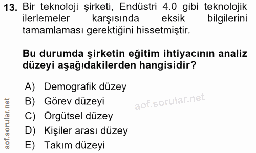 13. soru: Bir teknoloji şirketi, Endüstri 4.0 gibi teknolojik ilerlemeler karşısında eksık bilgilerini tamamlaması gerektiğini…