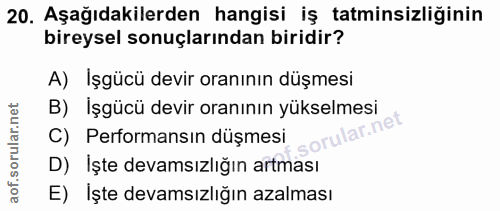 20. soru: Aşağıdakilerden hangisi iş tatminsizliğinin bireysel sonuçlarından biridir? A) Işgücü devir oranının düşmesi B) Işgüc…