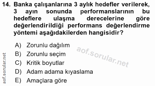 14. soru: Banka çalışanlarına 3 aylık hedefler verilerek, 3 ayın sonunda performanslarının bu hedeflere ulaşma derecelerine gör…