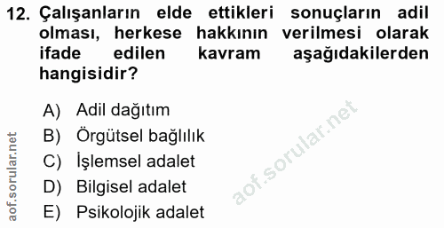 12. soru: Çalışanların elde ettikleri sonuçların adil olması, herkese hakkının verilmesi olarak ifade edilen kavram aşağıdakile…