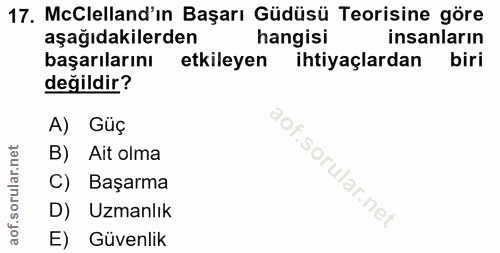 17. soru: McClelland'ın Başarı Güdüsü Teorisine göre aşağıdakilerden hangisi insanların başarılarını etkileyen ihtiyaçlardan bi…