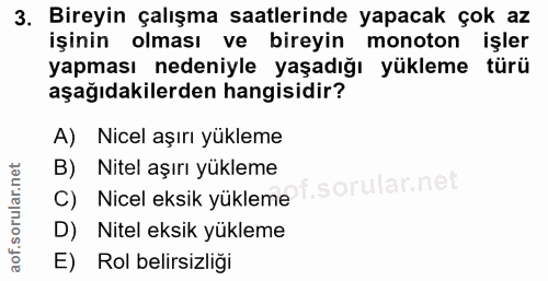 3. soru: Bireyin çalışma saatlerinde yapacak çok az işinin olması ve bireyin monoton işler yapması nedeniyle yaşadığı yükleme…
