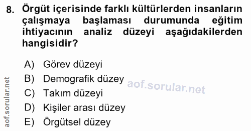 8. soru: Örgüt içerisinde farklı kültürlerden insanların çalışmaya başlaması durumunda eğitim ihtiyacının analiz düzeyi aşağıd…