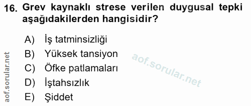 16. soru: Grev kaynaklı strese verilen duygusal tepki aşağıdakilerden hangisidir? A) Iş tatminsizliği B) Yuksek tansiyon C) Ofk…