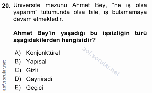 20. soru: Üniversite mezunu Ahmet Bey, "ne iş olsa yaparım" tutumunda olsa bile, iş bulamamaya devam etmektedir. Ahmet Bey'in y…