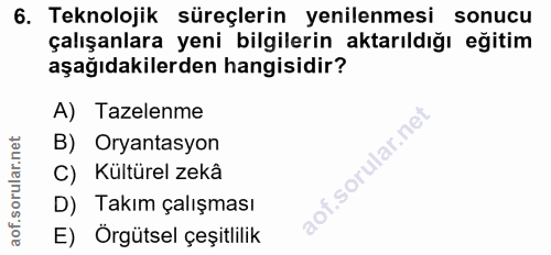 6. soru: Teknolojik süreçlerin yenilenmesi sonucu çalışanlara yeni bilgilerin aktarıldığı eğitim aşağıdakilerden hangisidir? A…