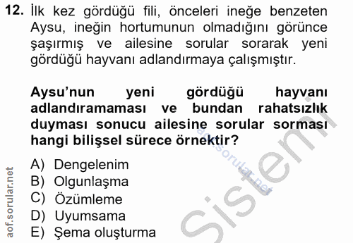 12. soru: İlk kez gördüğü fili, önceleri ineğe benzeten Aysu, ineğin hortumunun olmadığını görünce şaşırmış ve ailesine sorular…