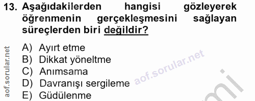 13. soru: Aşağıdakilerden hangisi gözleyerek öğrenmenin gerçekleşmesini sağlayan süreçlerden biri değildir? A) Ayırt etme B) Di…