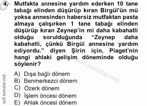 4. soru: Mutfakta annesine yardım ederken 10 tane tabağı elinden düşürüp kıran Birgül'ün mü yoksa annesinden habersiz mutfakta…