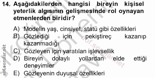 14. soru: Aşağıdakilerden hangisi bireyin kişisel yeterlik algısının gelişmesinde rol oynayan etmenlerden biridir? A) 'Modelin…