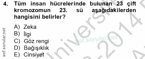 4. soru: Tüm insan hücrelerinde bulunan I 23 çift kromozomun 23. sü aşağıdakilerden hangisini belirler? A) Zeka B) İlgi for. s…