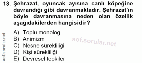 13. soru: Şehrazat, oyuncak ayısına canlı köpeğine davrandığı gibi davranmaktadır. Şehrazat'ın böyle davranmasına neden olan öz…