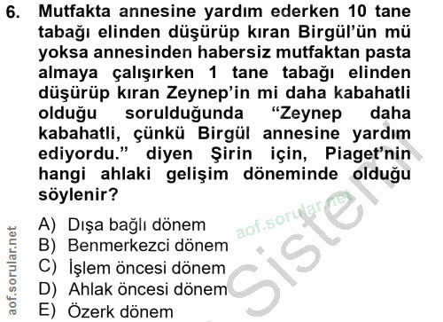 6. soru: Mutfakta annesine yardım ederken 10 tane tabağı elinden düşürüp kıran Birgül'ün mü yoksa annesinden habersiz mutfakta…