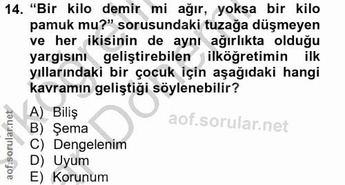 14. soru: "Bir kilo demir mi ağır, yoksa bir kilo pamuk mu?" sorusundaki tuzağa düşmeyen ve her ikisinin de aynı ağırlıkta oldu…