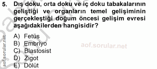 5. soru: Dış doku, orta doku ve iç doku tabakalarının geliştiği ve organların temel gelişiminin gerçekleştiği doğum öncesi gel…