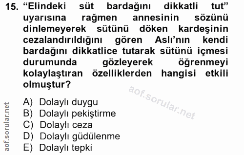 15. soru: "Elindeki süt bardağını dikkatli tut" uyarısına ragmen annesinin sözünü dinlemeyerek sütünü döken kardeşinin cezaland…