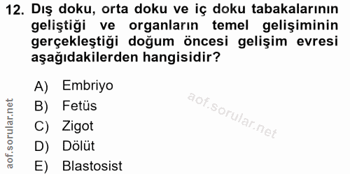 12. soru: Dış doku, orta doku ve iç doku tabakalarının geliştiği ve organların temel gelişiminin gerçekleştiği doğum öncesi gel…