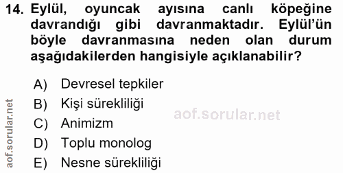14. soru: Eylül, oyuncak ayısına canlı köpeğine davrandığı gibi davranmaktadır. Eylül'ün böyle davranmasına neden olan durum aş…