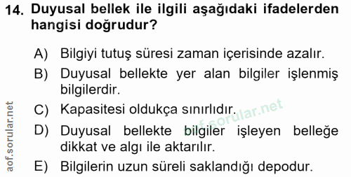 14. soru: Duyusal bellek ile ilgili aşağıdaki ifadelerden hangisi doğrudur? A) Bilgiyi tutuş süresi zaman içerisinde azalır. B)…