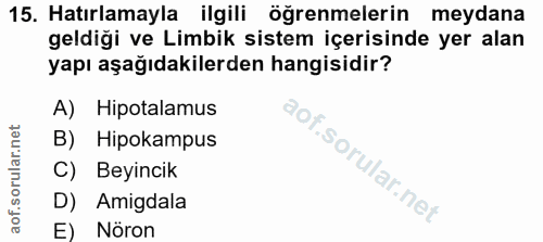 15. soru: Hatırlamayla ilgili öğrenmelerin meydana geldiği ve Limbik sistem içerisinde yer alan yapı aşağıdakilerden hangisidir…