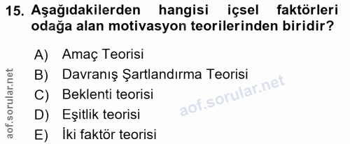 15. soru: Aşağıdakilerden hangisi içsel faktörleri odağa alan motivasyon teorilerinden biridir? A) Amaç Teorisi B) Davranış Şar…