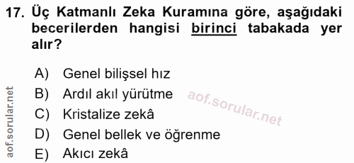17. soru: Üç Katmanlı Zeka Kuramına göre, aşağıdaki becerilerden hangisi birinci tabakada yer alır? A) Genel bilişsel hız B) Ar…