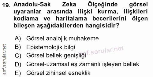 19. soru: Anadolu-Sak Zeka Ölçeğinde görsel uyaranlar arasında ilişki kurma, ilişkileri kodlama ve haritalama becerilerini ölçe…
