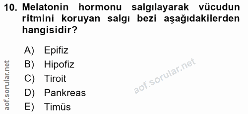 10. soru: Melatonin hormonu salgılayarak vücudun ritmini koruyan salgı bezi aşağıdakilerden hangisidir? A) Epifiz B) Hipofiz C)…