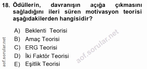 18. soru: Ödüllerin, davranışın açığa Çıkmasını sağladığını ileri süren motivasyon teorisi aşağıdakilerden hangisidir? A) Bekle…