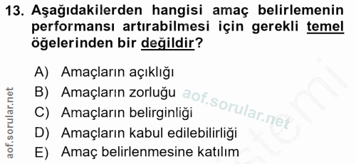 13. soru: Aşağıdakilerden hangisi amaç belirlemenin performansı artırabilmesi için gerekli temel öğelerinden bir değildir? B) A…