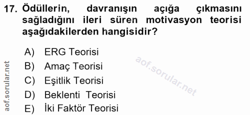 17. soru: Ödüllerin, davranışın açığa Çıkmasını sağladığını ileri süren motivasyon teorisi aşağıdakilerden hangisidir? A) ERG T…