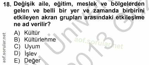 18. soru: Değişik aile, eğitim, meslek ve bölgelerden gelen ve belli bir yer ve zamanda birbirini etkileyen akran grupları aras…