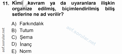 11. soru: Kimi kavram ya da uyaranlara ilişkin organize edilmiş, biçimlendirilmiş biliş setlerine ne ad verilir? A) Farkındalık…