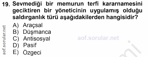 19. soru: Sevmediği bir memurun terfi kararnamesini geciktiren bir yöneticinin uygulamış olduğu saldırganlık türü aşağıdakilerd…