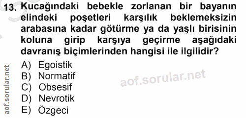 13. soru: Kucağındaki bebekle zorlanan bir bayanın elindeki poşetleri karşılık beklemeksizin arabasına kadar götürme ya da yaşl…