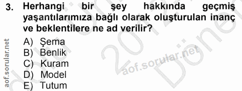 3. soru: Herhangi bir şey hakkında geçmiş yaşantılarımıza bağlı olarak oluşturulan inanç ve beklentilere ne ad verilir? A) Şem…