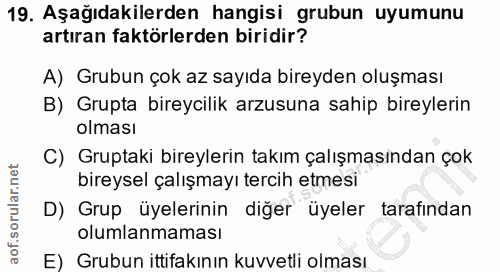 19. soru: Aşağıdakilerden hangisi grubun uyumunu artıran faktörlerden biridir? A) Grubun çok az sayıda bireyden oluşması B) Gru…