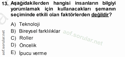 13. soru: Aşağıdakilerden hangisi insanların bilgiyi yorumlamak için kullanacakları şemanın seçiminde etkili olan faktörlerden…