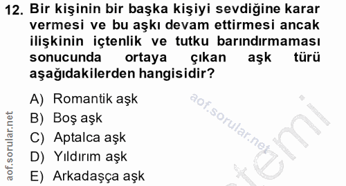 12. soru: Bir kişinin bir başka kişiyi sevdiğine karar vermesi ve bu aşkı devam ettirmesi ancak ilişkinin içtenlik ve tutku bar…